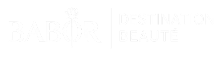 logo-2-transparent logo-2-transparent